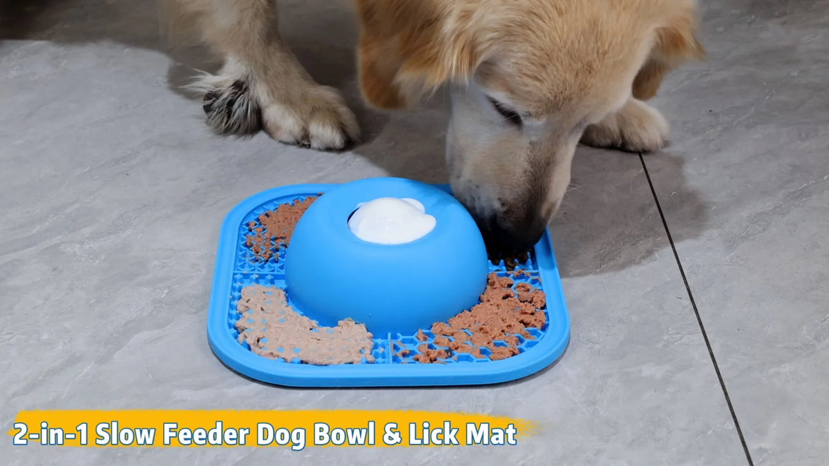 Slow Feeder Dog Lick Bowl With Anti Slip Interactive Ball