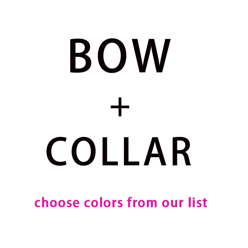 Custom Name Pet Bowtie Dog Harness Leash Set With Bag