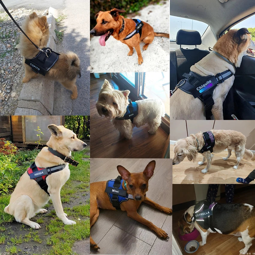 Bolux Adjustable Reflective No Pull Pet Dog Harness Vest