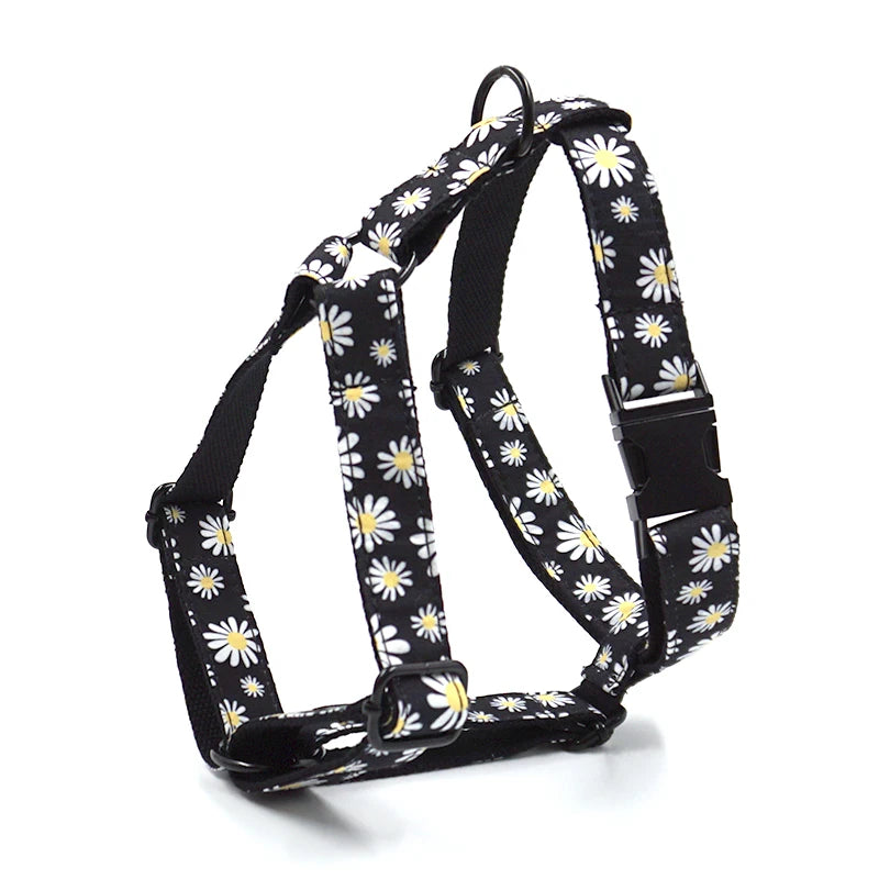 Glorious Kek Personalized Dog Harness Collar Leash Set