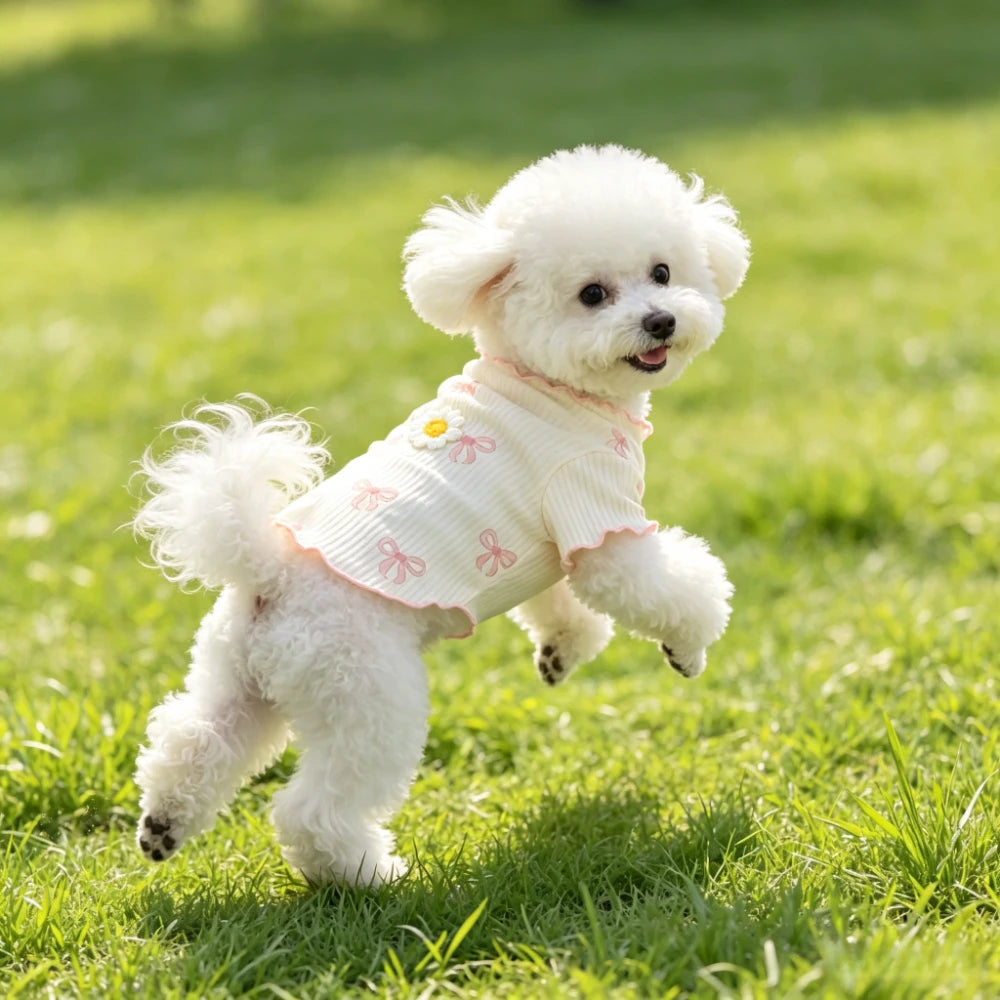 Lightweight Elastic Dog T Shirt For Comfortable Wear