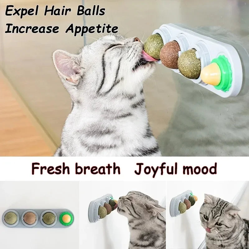 Interactive Rotating Catnip Ball Wall Mount Chew Toy For Pets