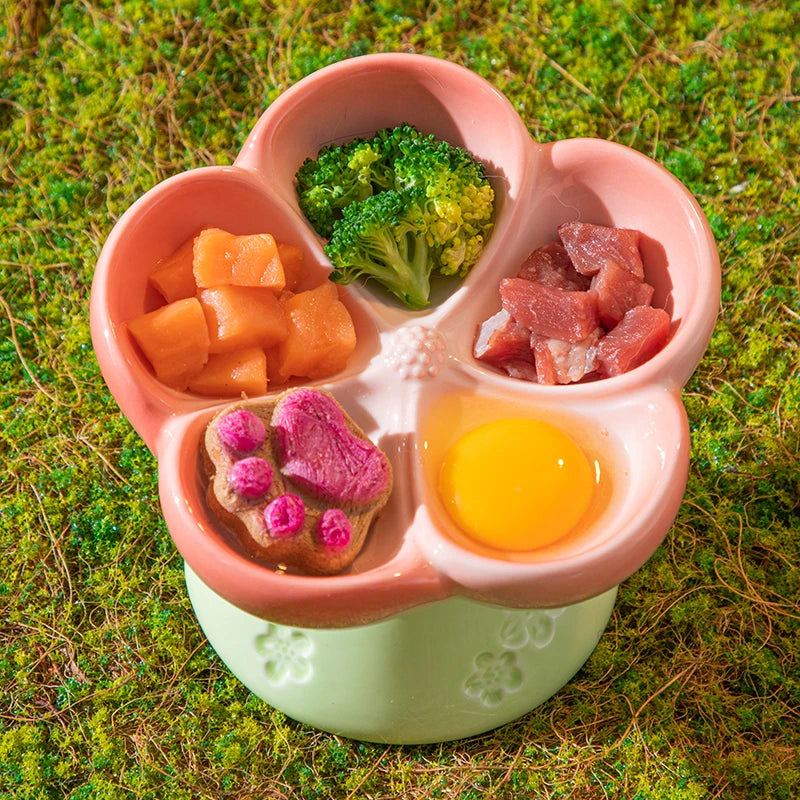 Premium Elevated Partitioned Pet Bowl With Secure Non Slip Base