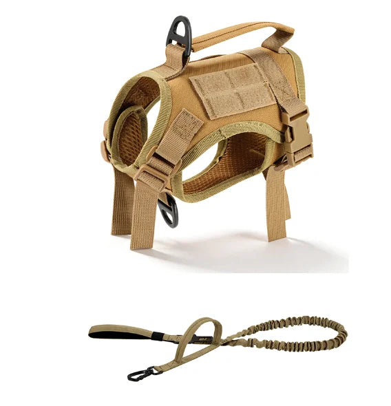 PetraVel Adjustable Escape Proof Cat Harness With Leash Set