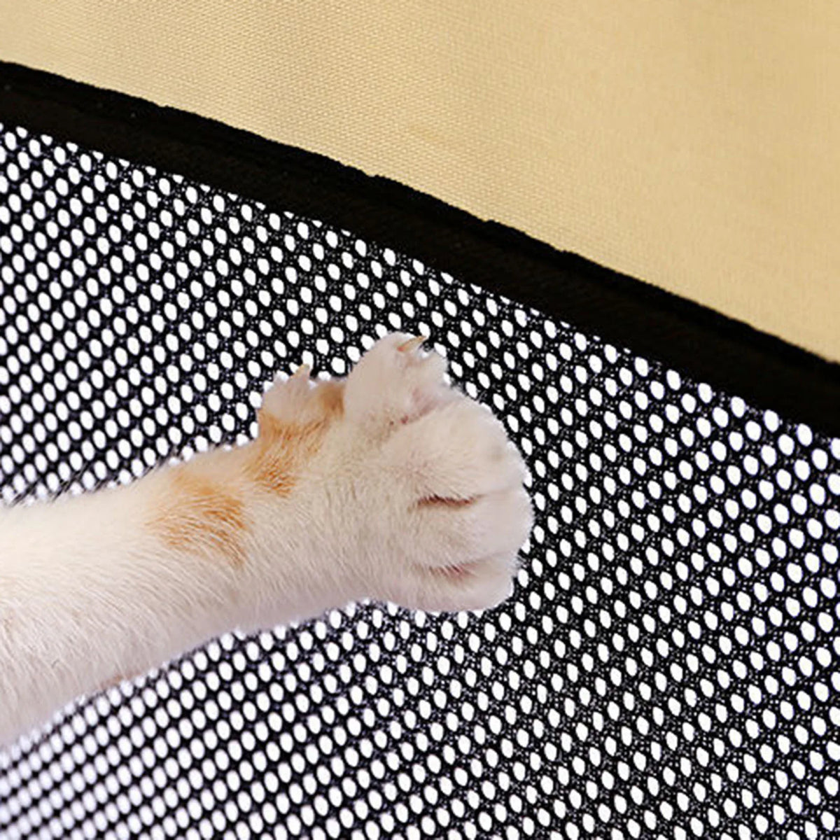 Foldable Soft Kennel For Cats And Dogs Travel Carrier
