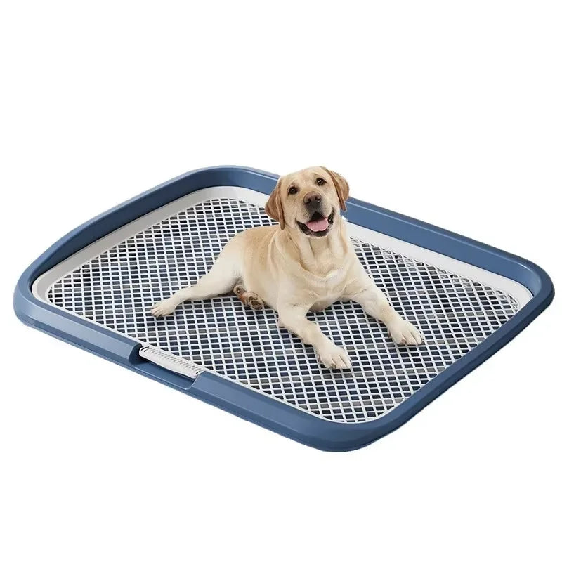 Indoor Anti Slip Reusable Mesh Dog Potty Training Tray