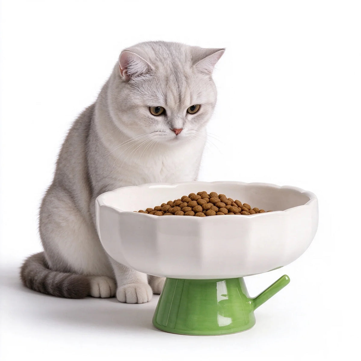 Elevated Ceramic Cat Bowl With Slanted Rim For Indoor Cats
