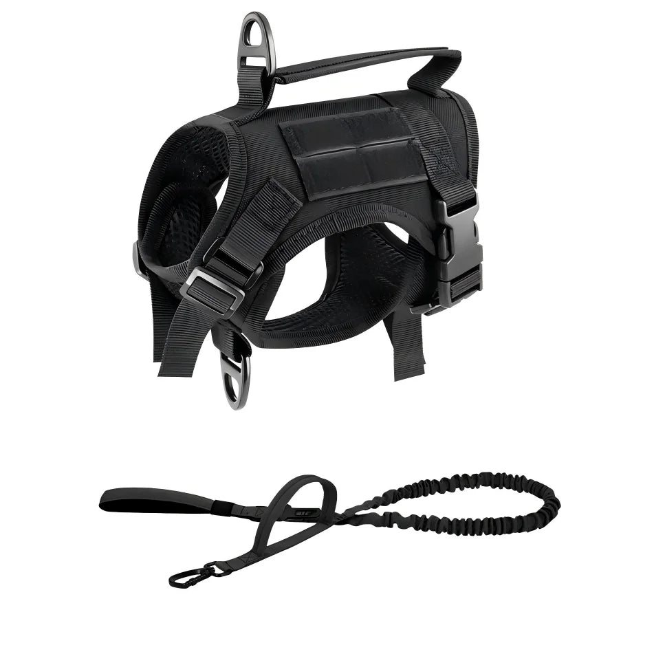 PetraVel Adjustable Escape Proof Cat Harness With Leash Set