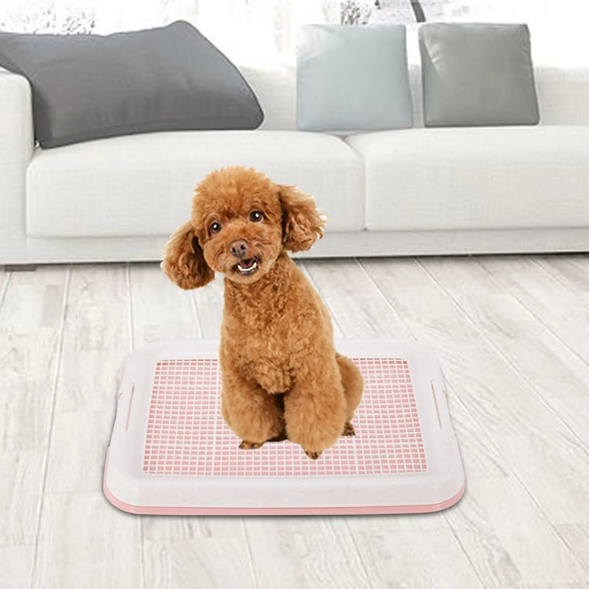 Serenable Dog Potty Training Pan With Secure Latch And Lid