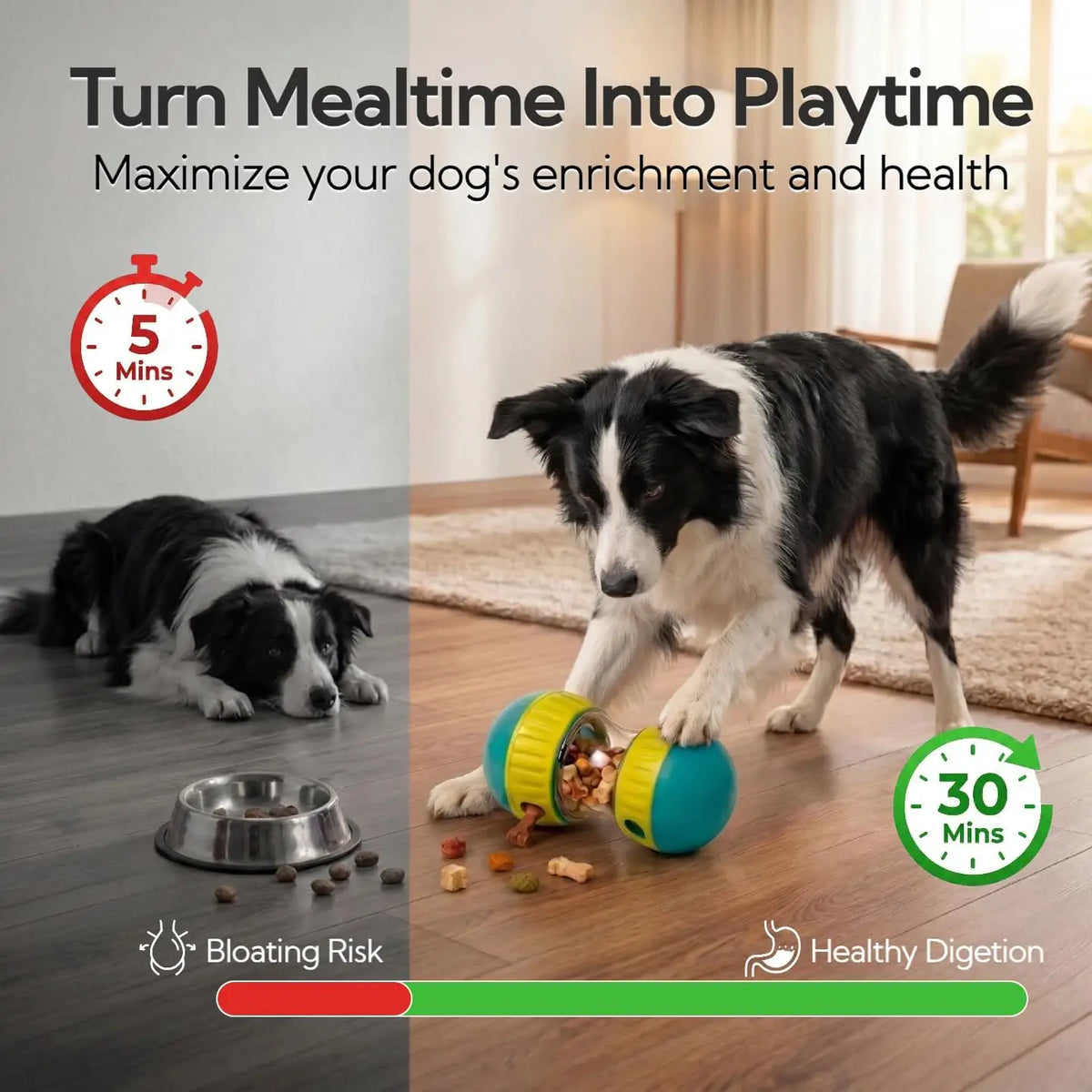 Interactive Dog Slow Feeder Puzzle Treat Dispensing Ball