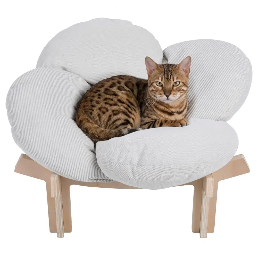 Elevated Wooden Cat Bed With Fluffy Removable Petal Cushion