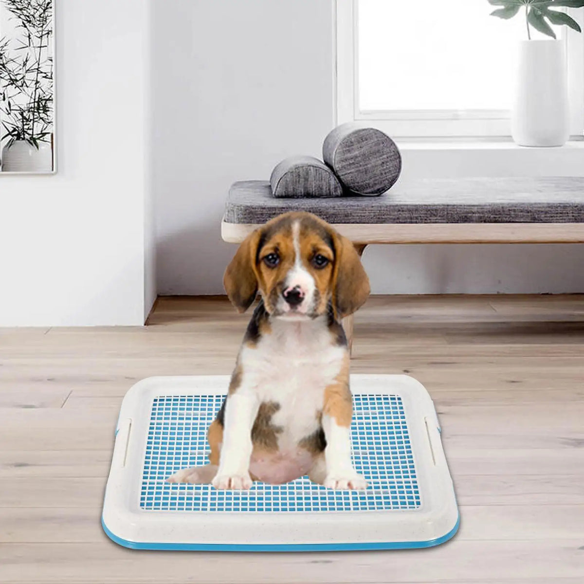Serenable Dog Potty Training Pan With Secure Latch And Lid