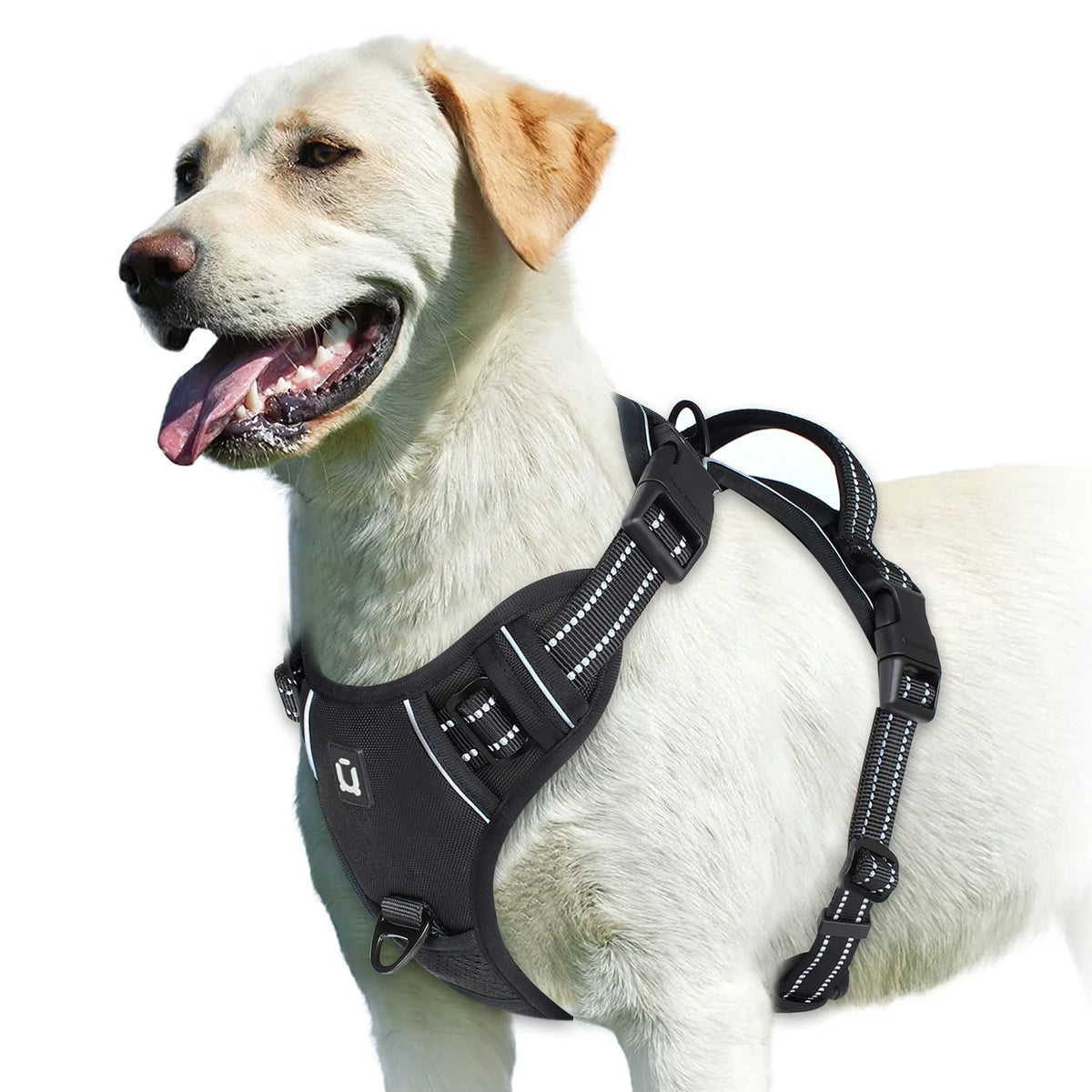 Adjustable Soft Padded No Pull Dog Harness with Control Handle