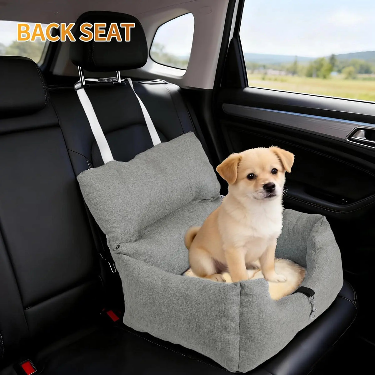 HiMiss Elevated Dog Booster Car Seat With Safety Tether