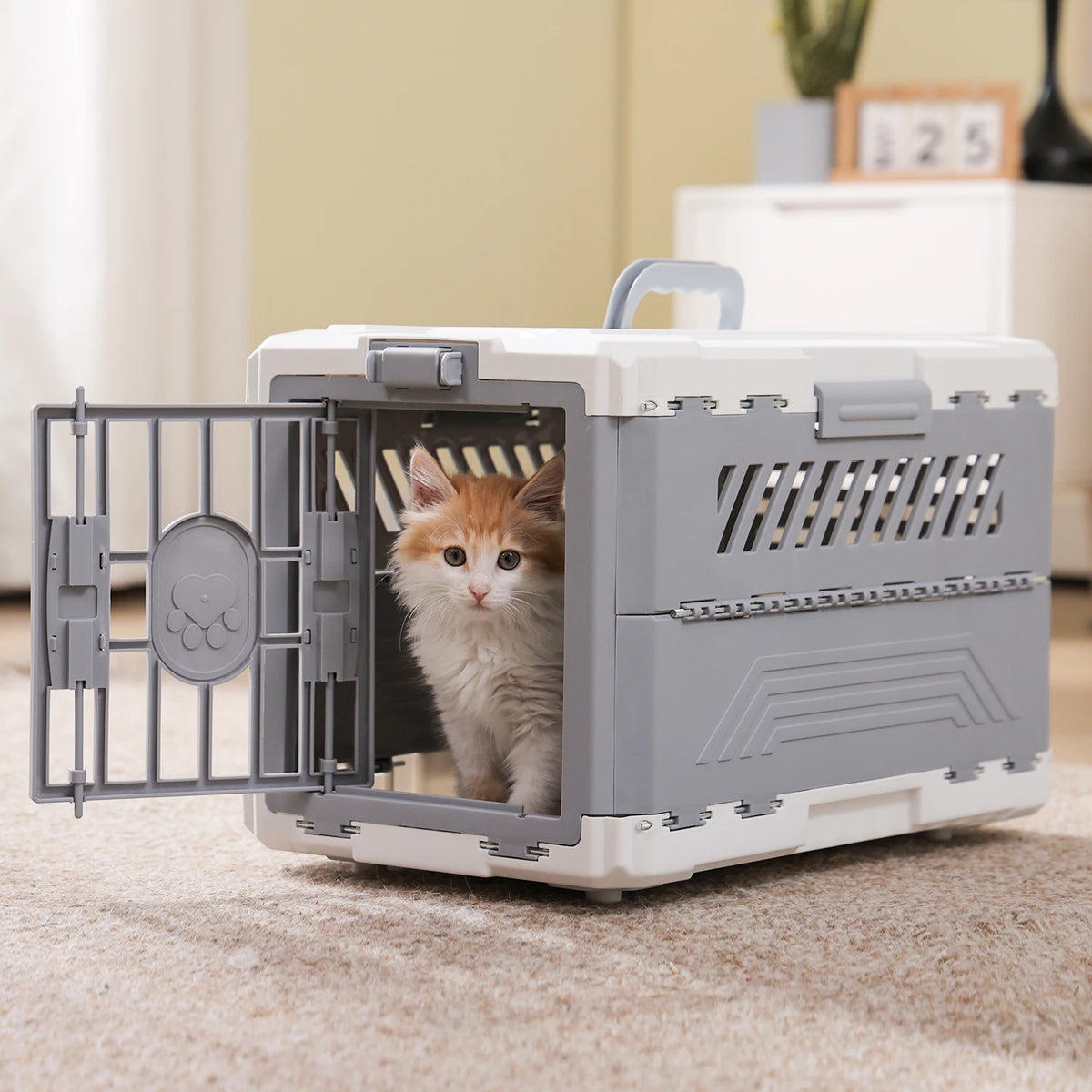 PAWZ Road Foldable Pet Carrier For Cats And Dogs Travel