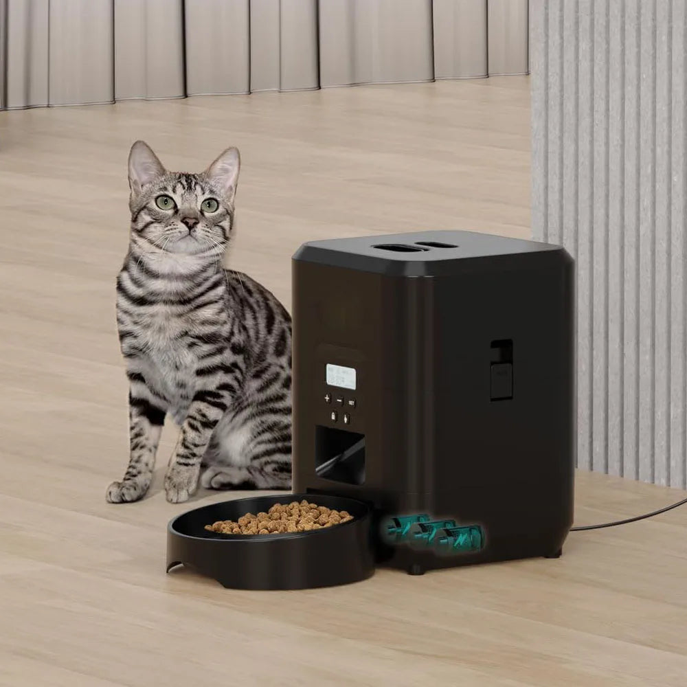 ZYfeeder Automatic Timed Pet Feeder With LCD Display For Cats