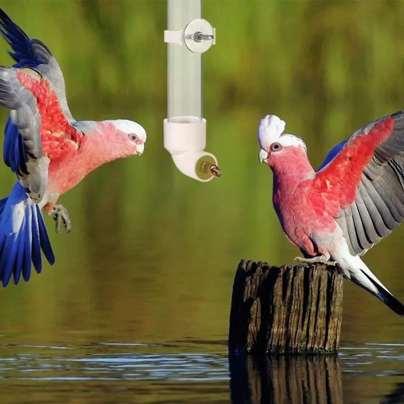 Mountable Bird And Hamster Water Drinking Dispenser Bottle