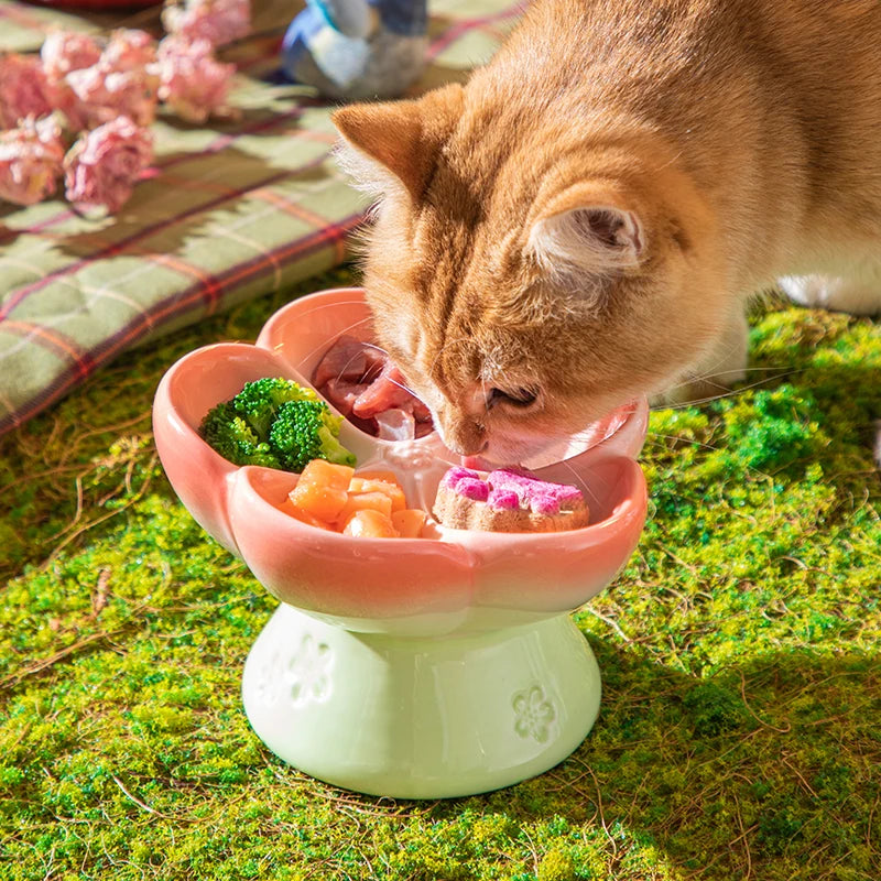 Premium Elevated Partitioned Pet Bowl With Secure Non Slip Base