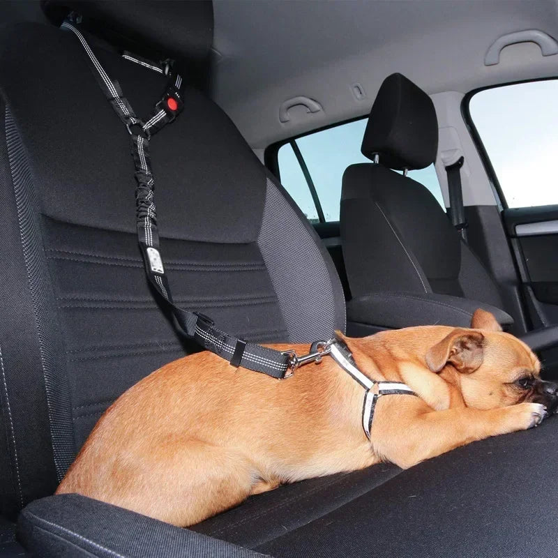 Dual Purpose Dog Harness Leash With Car Seat Belt Safety Clip