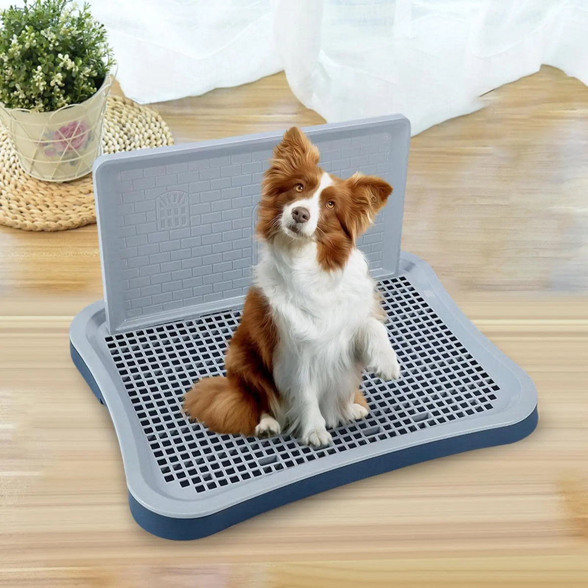 Adjustable Plastic Indoor Dog Potty Tray With Removable Mesh Pad