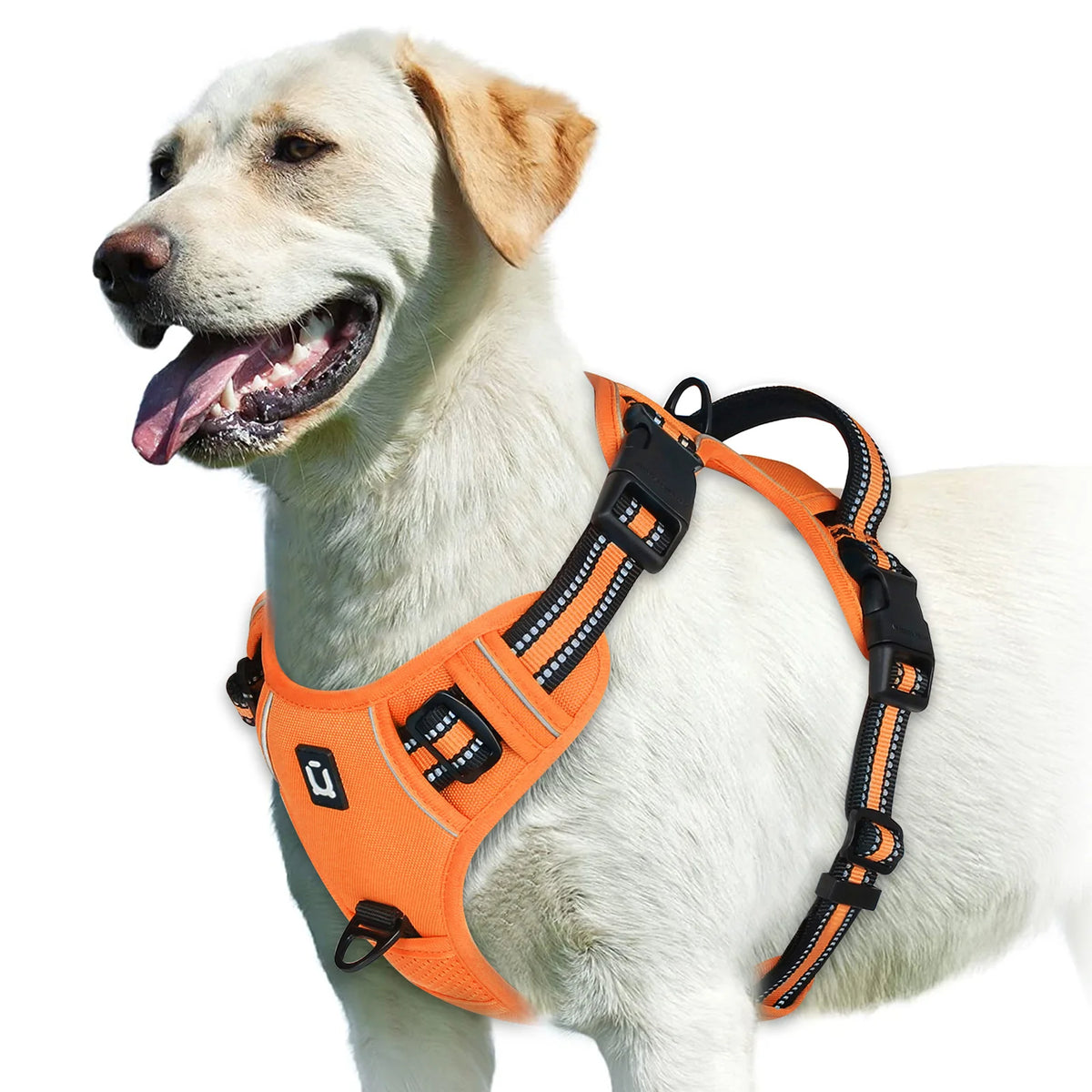 Adjustable Soft Padded No Pull Dog Harness with Control Handle