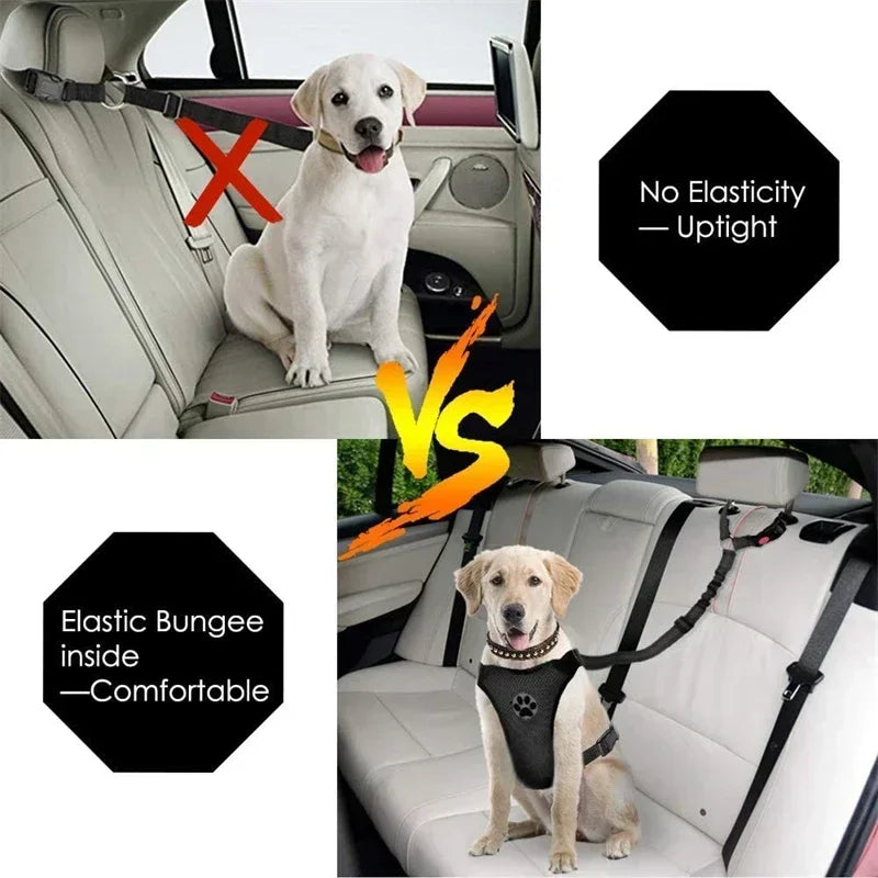 Dual Purpose Dog Harness Leash With Car Seat Belt Safety Clip