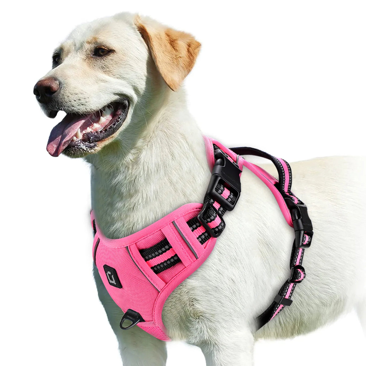 Adjustable Soft Padded No Pull Dog Harness with Control Handle
