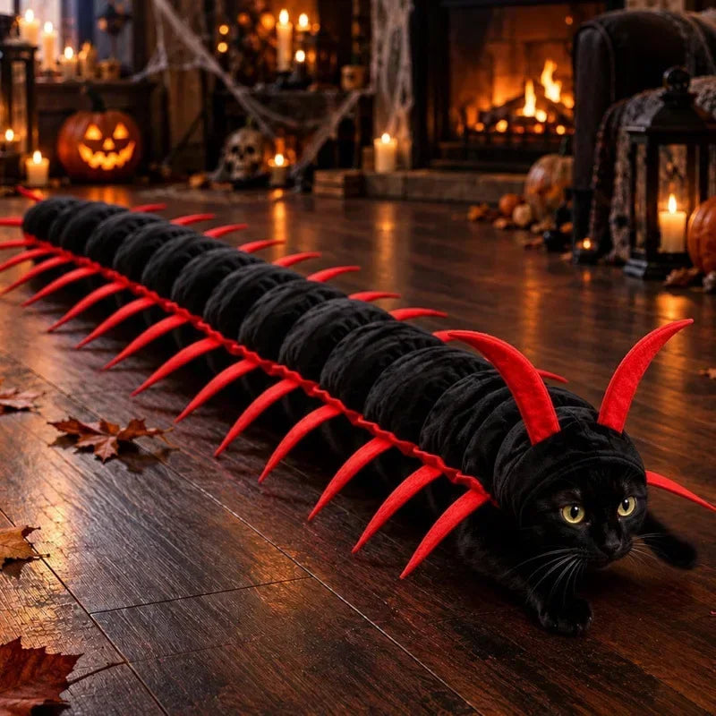 Spooky Centipede Cat Costume For Halloween Pet Outfits