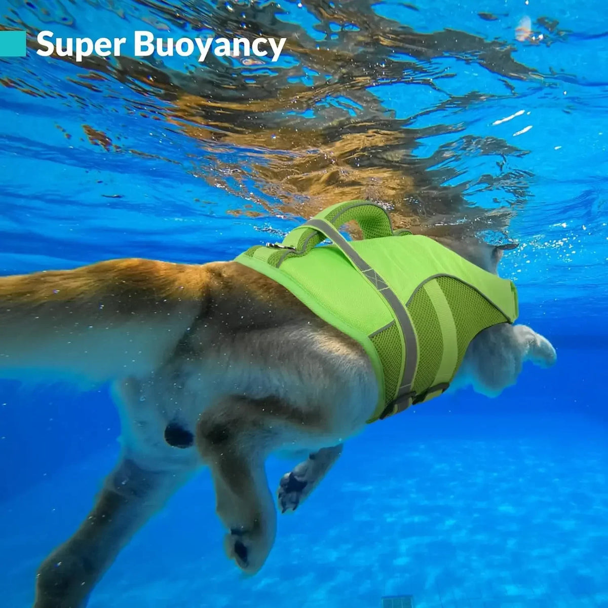 Mesh Dog Life Jacket With High Buoyancy Reflective Rescue Handle