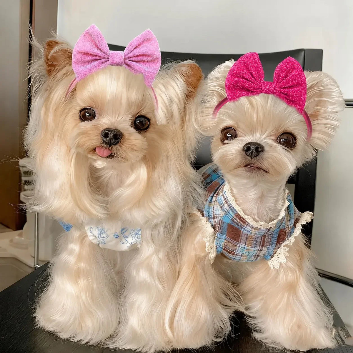 Premium Adjustable Leather Dog Hair Bow Set For Dogs