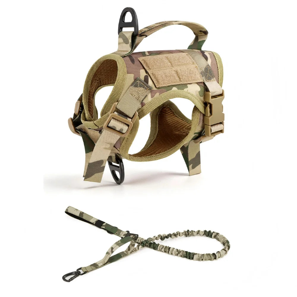 PetraVel Adjustable Escape Proof Cat Harness With Leash Set