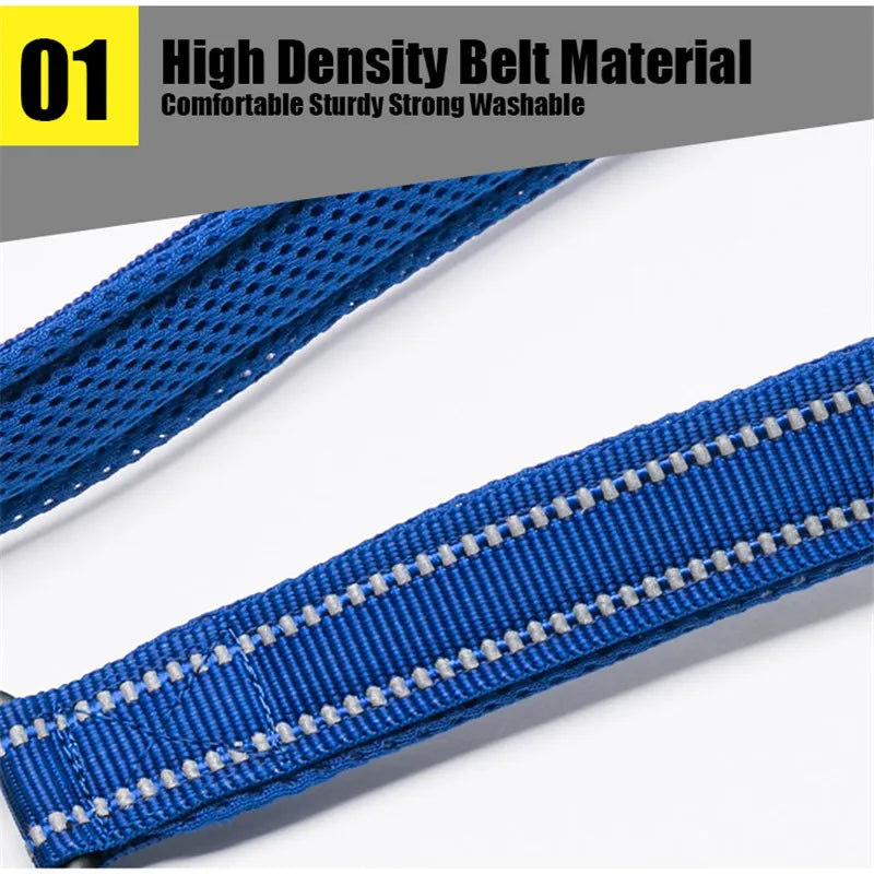Truelove Reflective Padded Nylon Pet Dog Leash With Quick Release