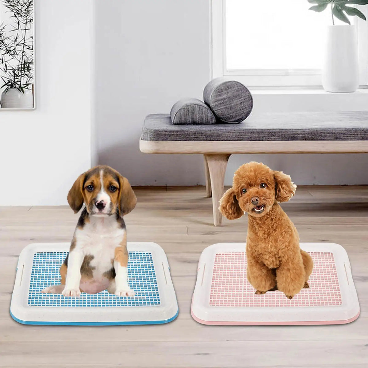 Serenable Dog Potty Training Pan With Secure Latch And Lid