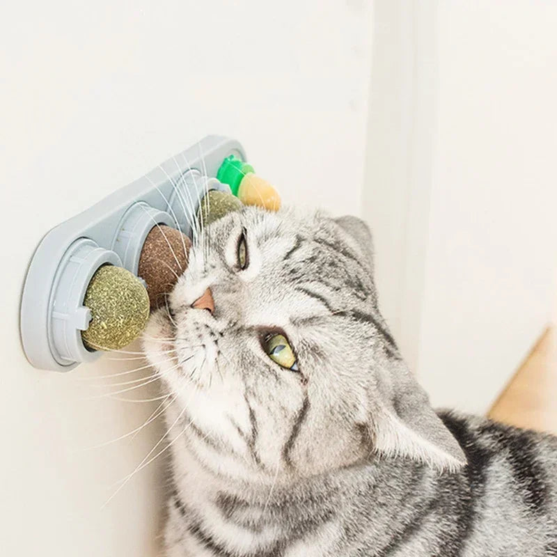 Interactive Rotating Catnip Ball Wall Mount Chew Toy For Pets