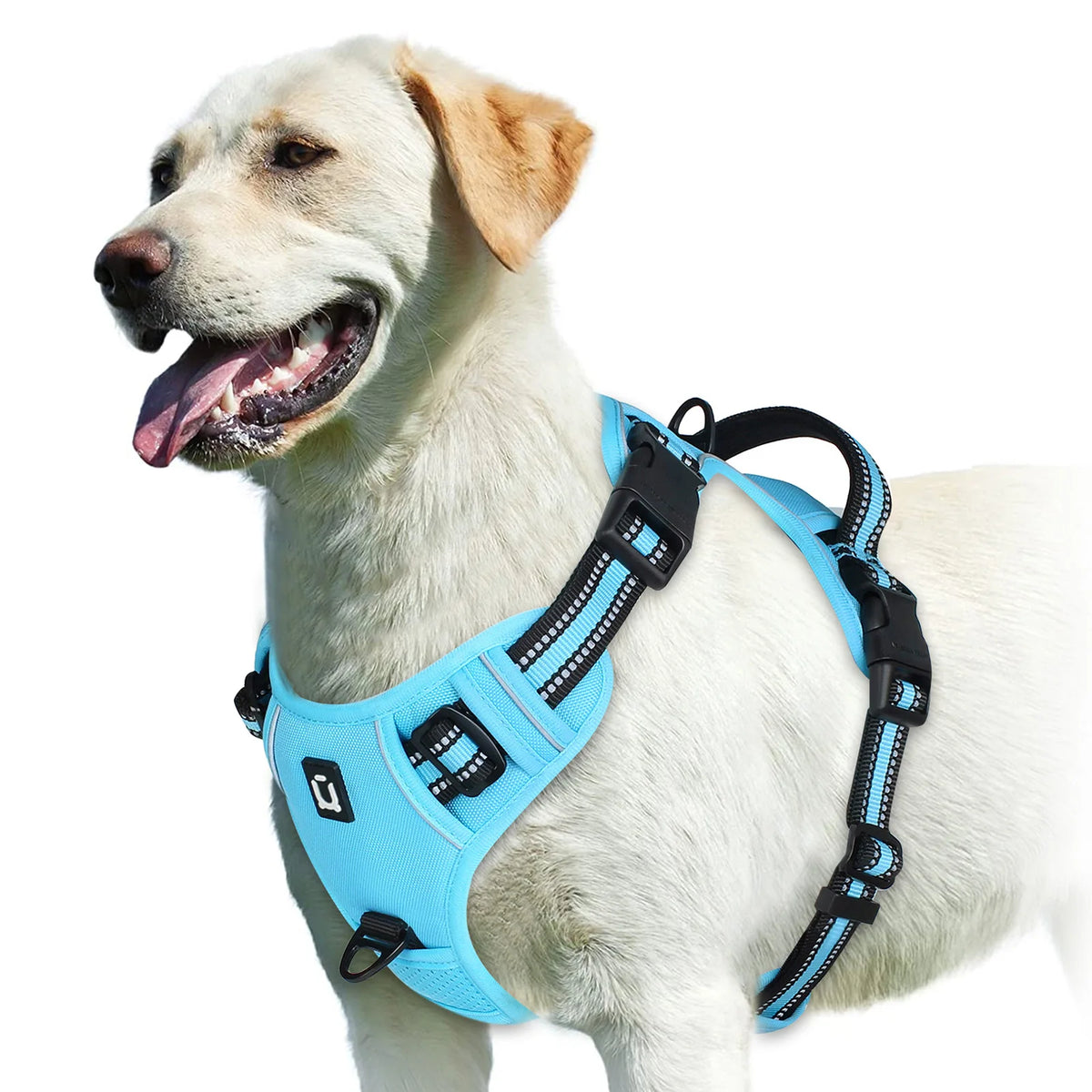 Adjustable Soft Padded No Pull Dog Harness with Control Handle