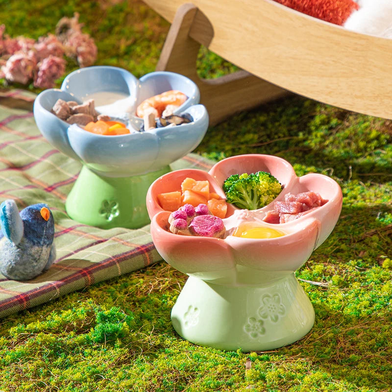 Premium Elevated Partitioned Pet Bowl With Secure Non Slip Base
