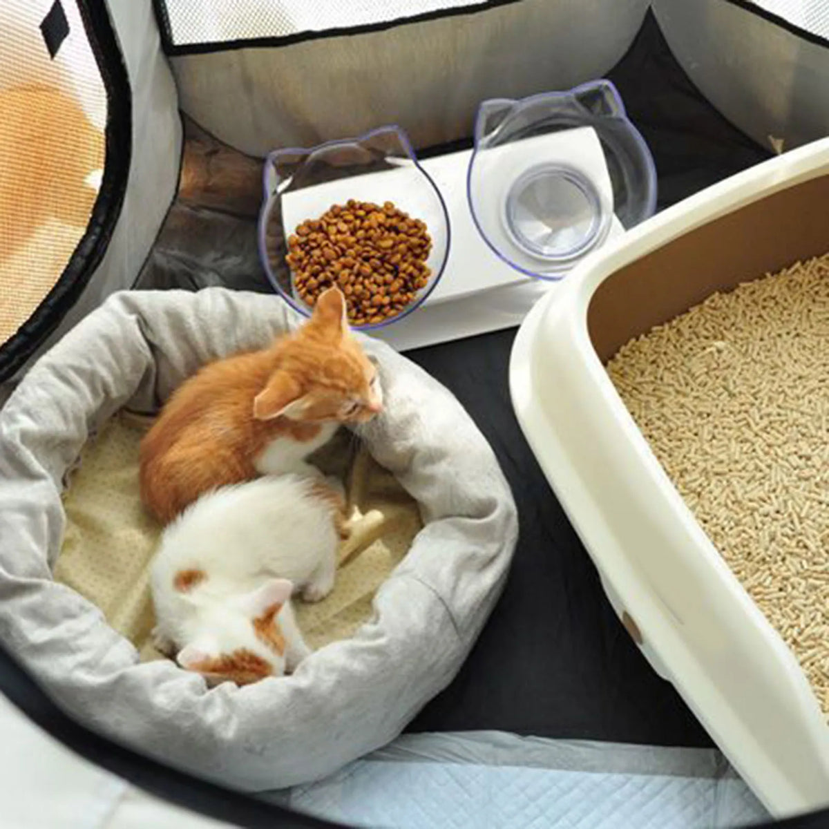 Foldable Soft Kennel For Cats And Dogs Travel Carrier