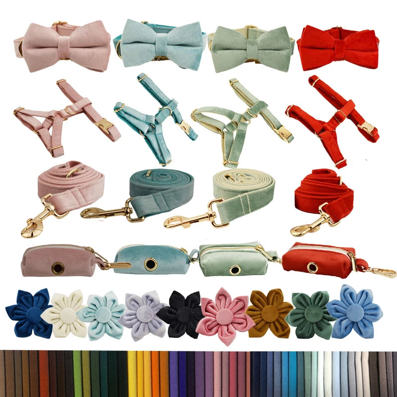 Custom Name Pet Bowtie Dog Harness Leash Set With Bag