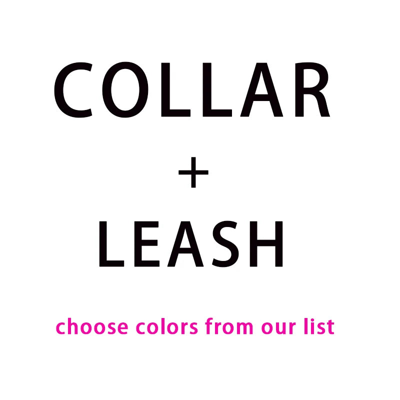 Custom Name Pet Bowtie Dog Harness Leash Set With Bag
