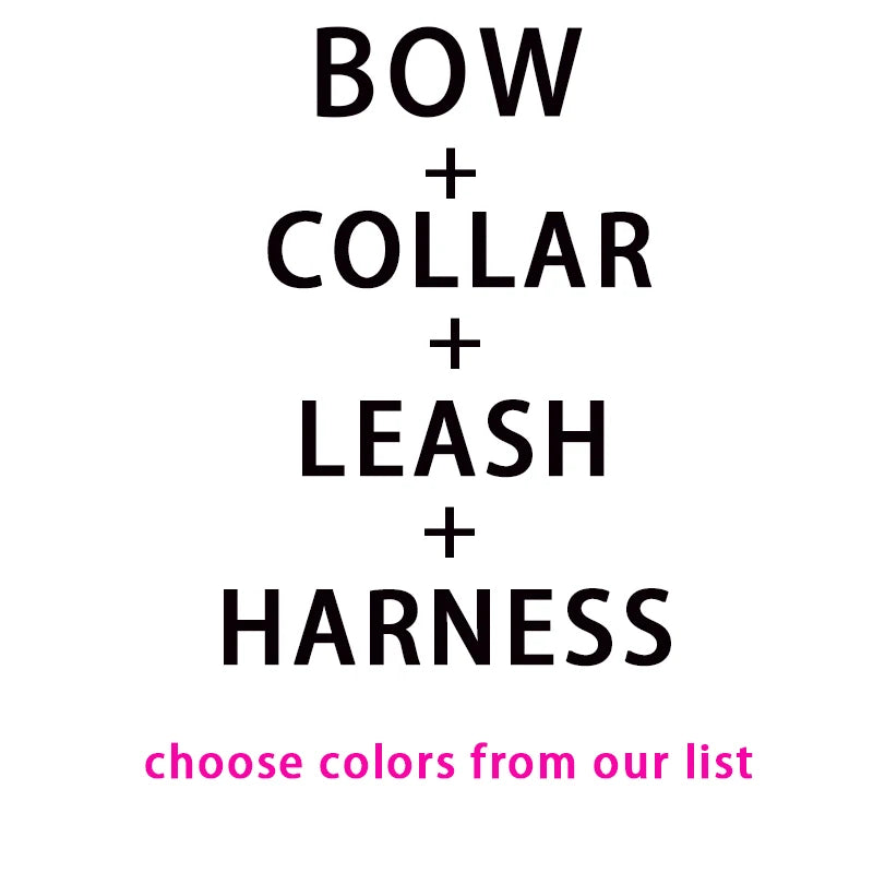 Custom Name Pet Bowtie Dog Harness Leash Set With Bag