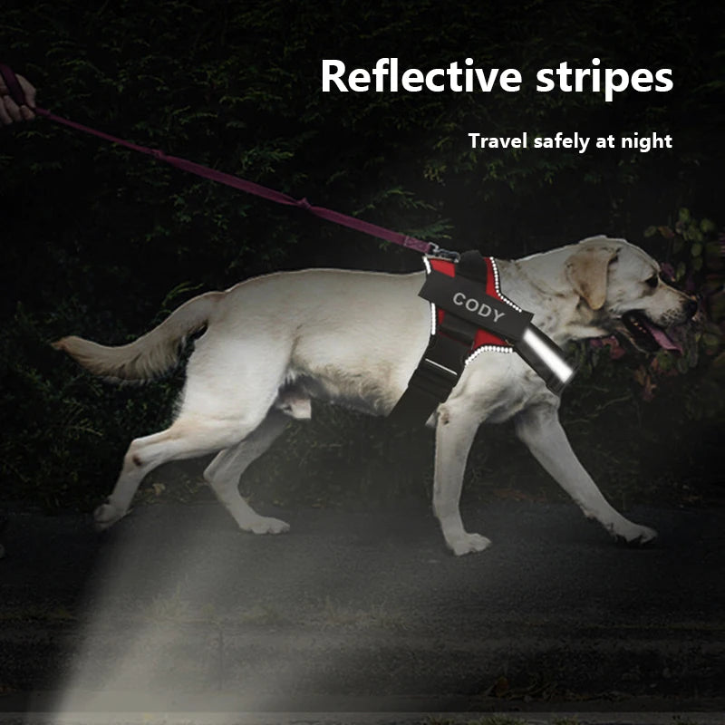 Bolux Adjustable No Pull Dog Harness Vest With Leash Set