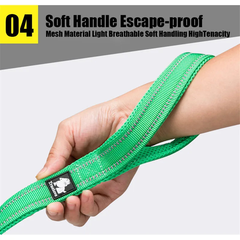 Truelove Reflective Padded Nylon Pet Dog Leash With Quick Release