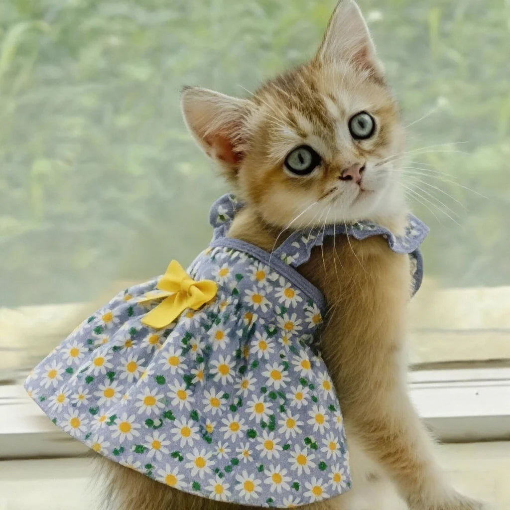 Summer Sleeveless Flower Design Cat And Dog Princess Dress