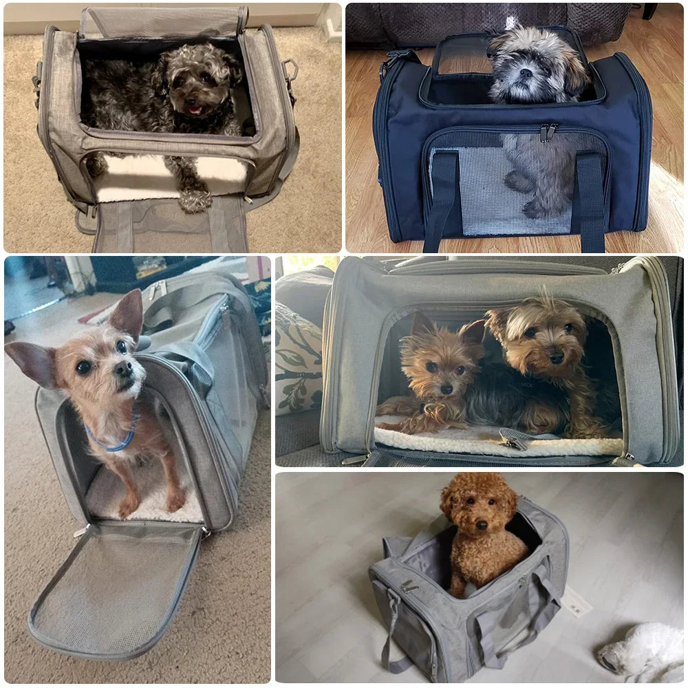 Breathable Foldable Pet Carrier Bag For Small Cats And Dogs