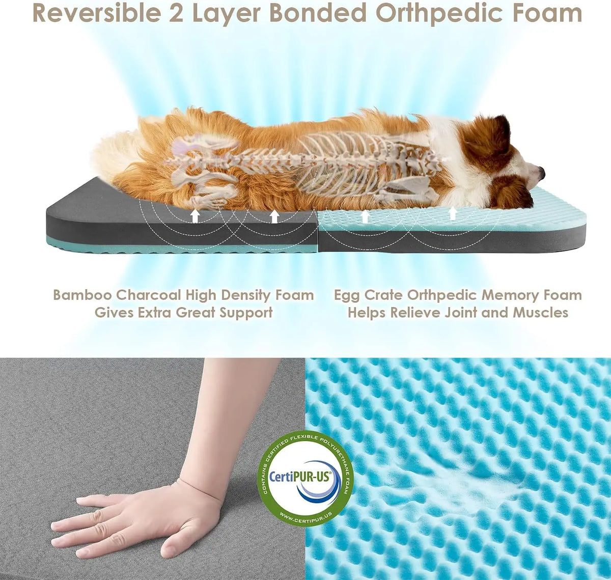 Novilla Foldable Human Dog Bed With Orthopedic Support Cotton