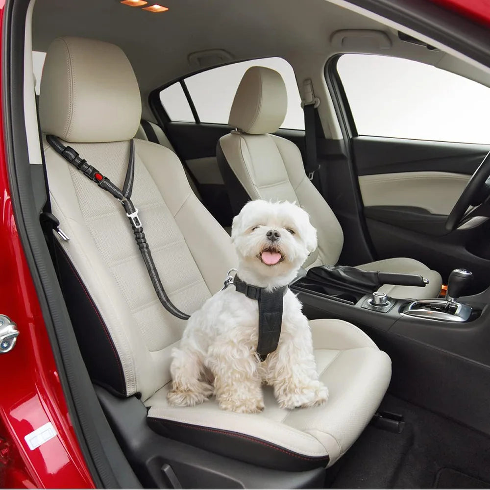 Adjustable Reflective Nylon Pet Car Safety Seat Belt And Leash