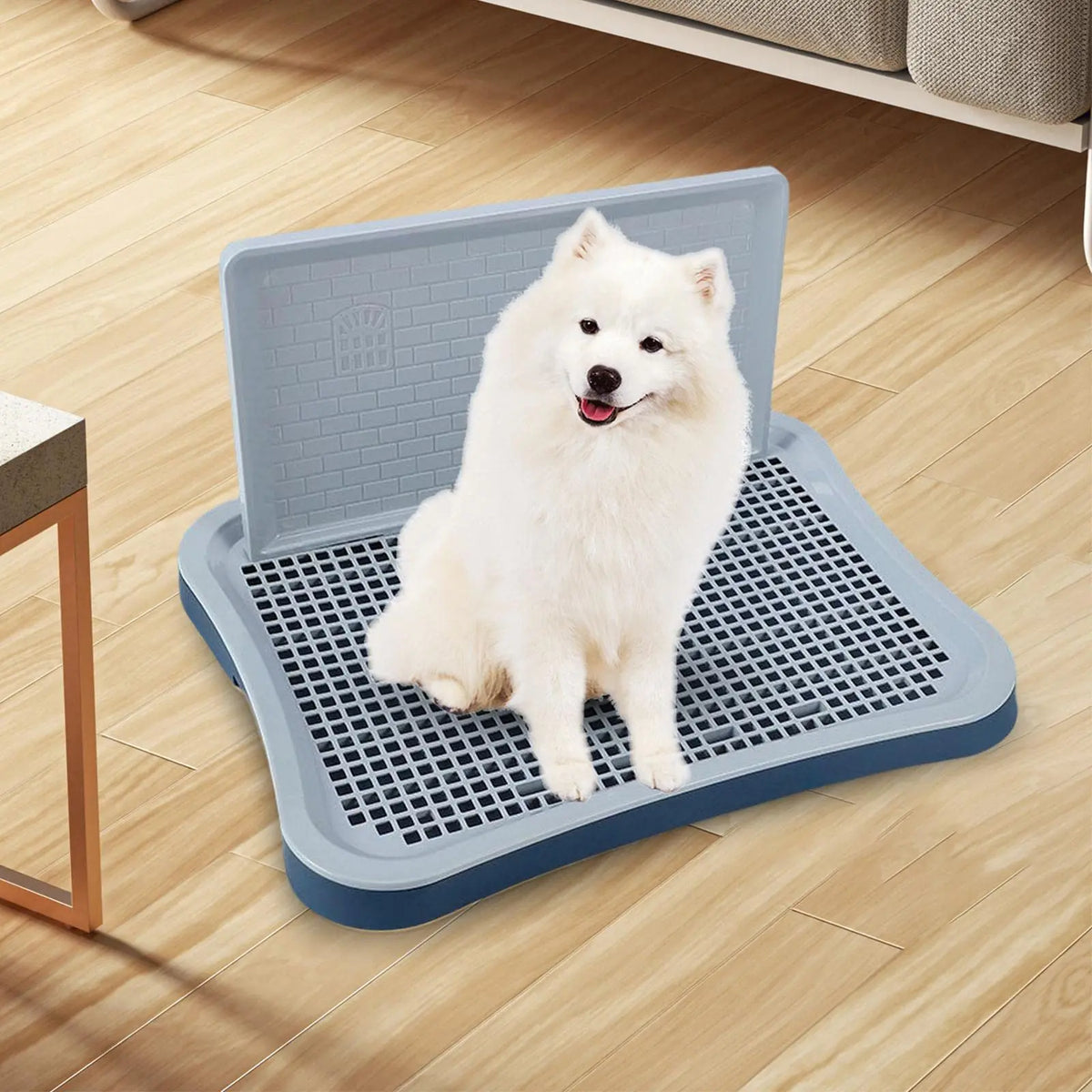 Adjustable Plastic Indoor Dog Potty Tray With Removable Mesh Pad