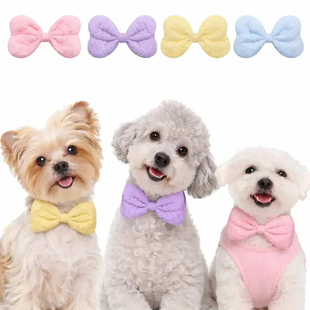 Quilted Leather Pet Bow Tie Set For Dogs And Cats