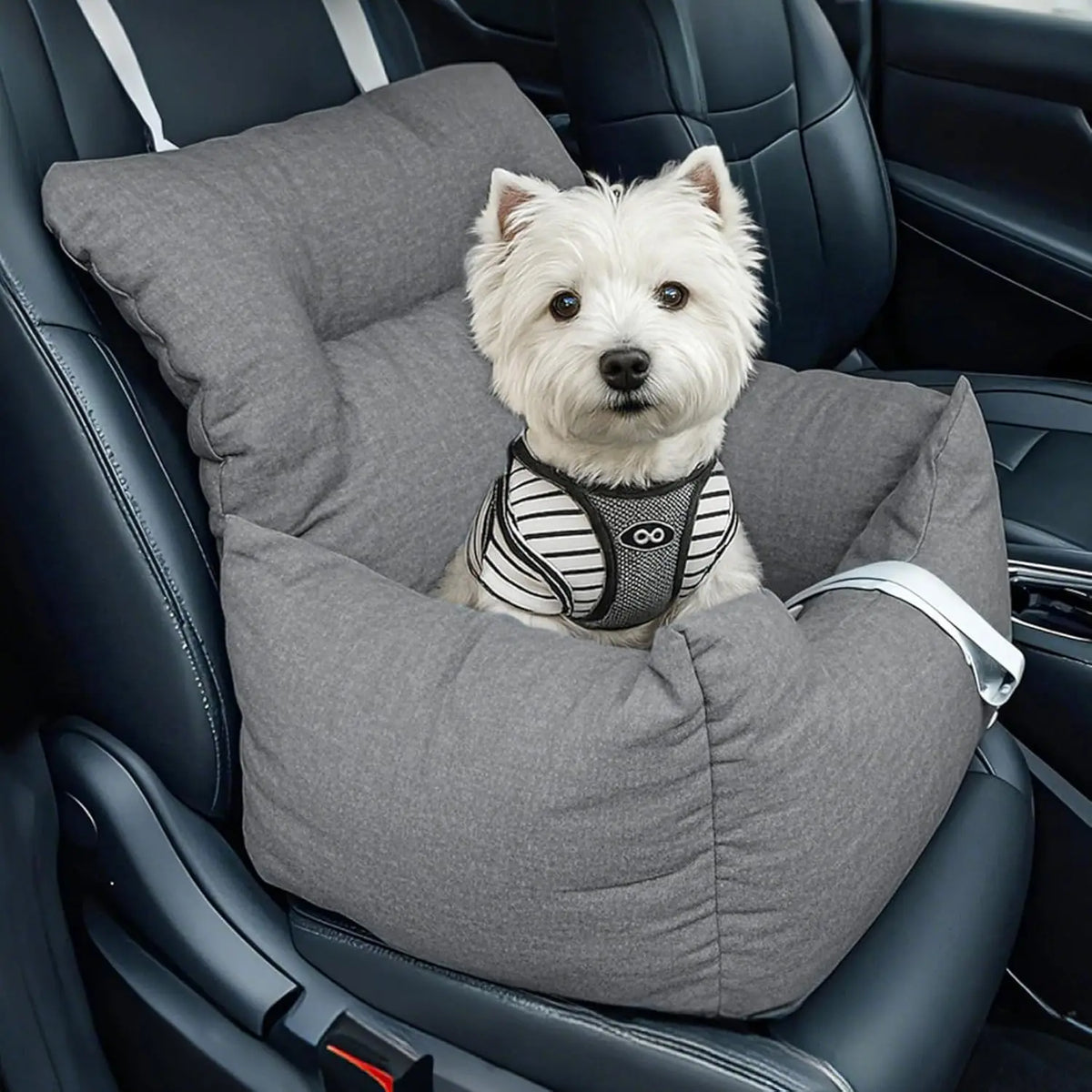 HiMiss Elevated Dog Booster Car Seat With Safety Tether