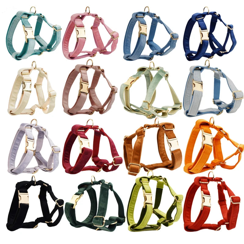 Custom Name Pet Bowtie Dog Harness Leash Set With Bag